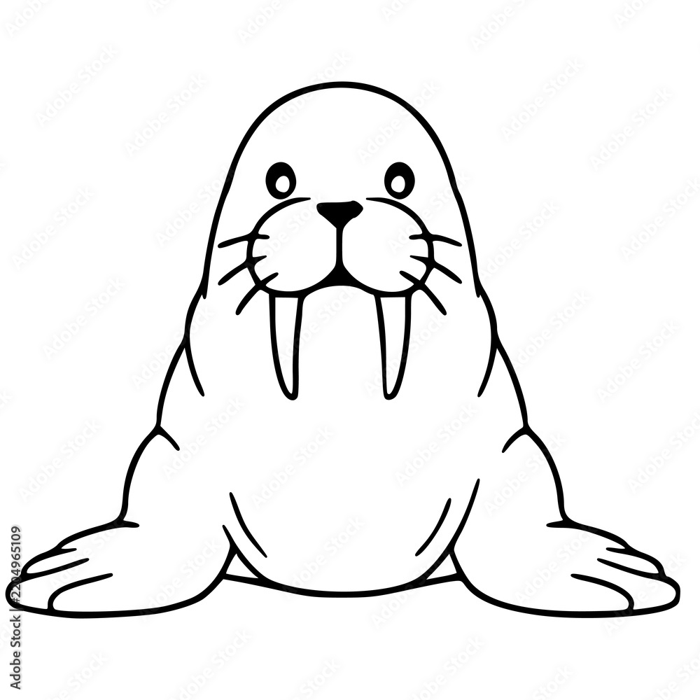 Obraz premium Cute isolated walrus vector illustration, black and white outline coloring page for kids and educational activity book.