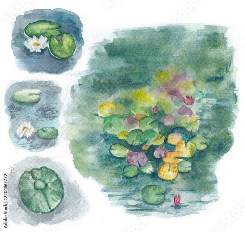 Hand painted watercolor of a quiet pond with lily pads and blooming water lilies