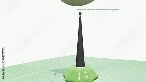 3D animation of a stinging nettle Urtica dioica trichome microinjection defense mechanism piercing human skin and releasing formic acid and histamine causing pain and swelling