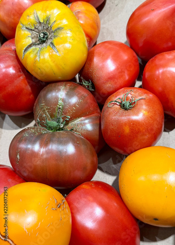 Colourful Heirloom Tomatoes in Red Yellow and Purple