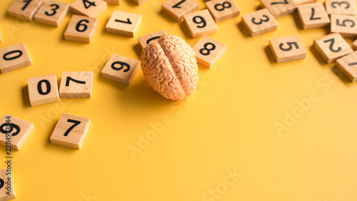 Human Brain Model Resting Near Wooden Number Tiles on Bright Yellow Surface