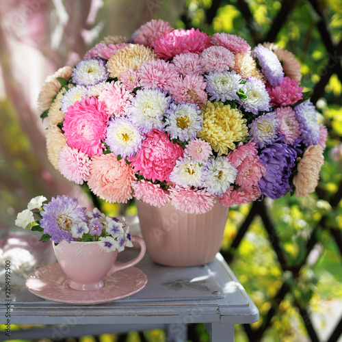 Beautiful bouquet of colorful autumn asters and a cup with flowers on a chair, set against the backdrop of a garden and a pergola, blur, selective focus
