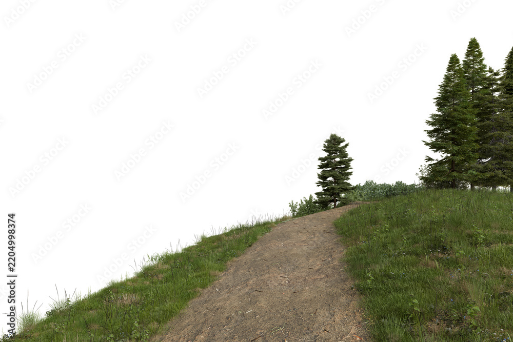 Fototapeta premium A scenic dirt hiking trail winding through a lush grassy meadow leading towards a dense forest edge isolated
