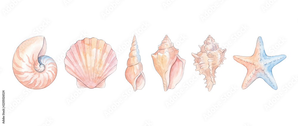 Fototapeta premium Watercolor seashells set sea shells collection featuring nautilus scallop conch starfish illustrations on black background for summer marine ocean beach design element banner craft watercolor art