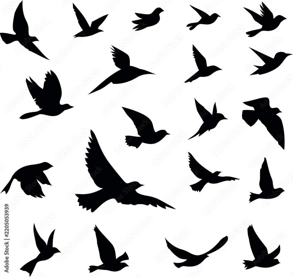 Fototapeta premium Flock of Flying Birds Black Silhouette Vector Icon Set Featuring Diverse Avian Species in Motion Isolated on a White Background