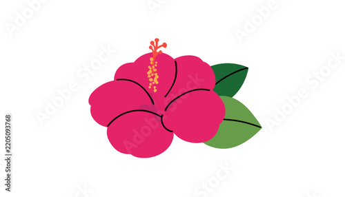 Hibiscus flower illustration a vibrant pink and green vector design
