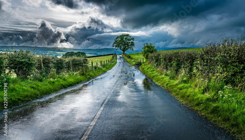 Rainy country road with lush green fields and stormy sky.