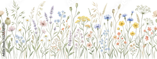 Wildflowers and Grasses Border Watercolor Illustration