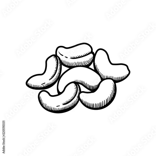 Cashew illustration engraving doodle. Cashew in shell icon
