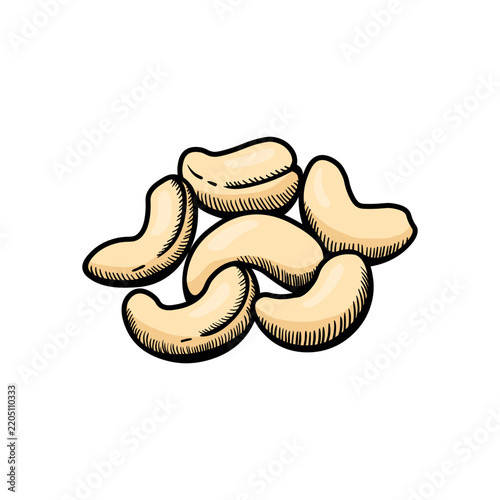 Cashew illustration engraving doodle. Cashew in shell icon