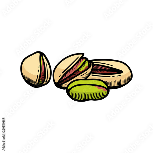 Pistachio illustration engraving doodle. Pistachio  in shell icon