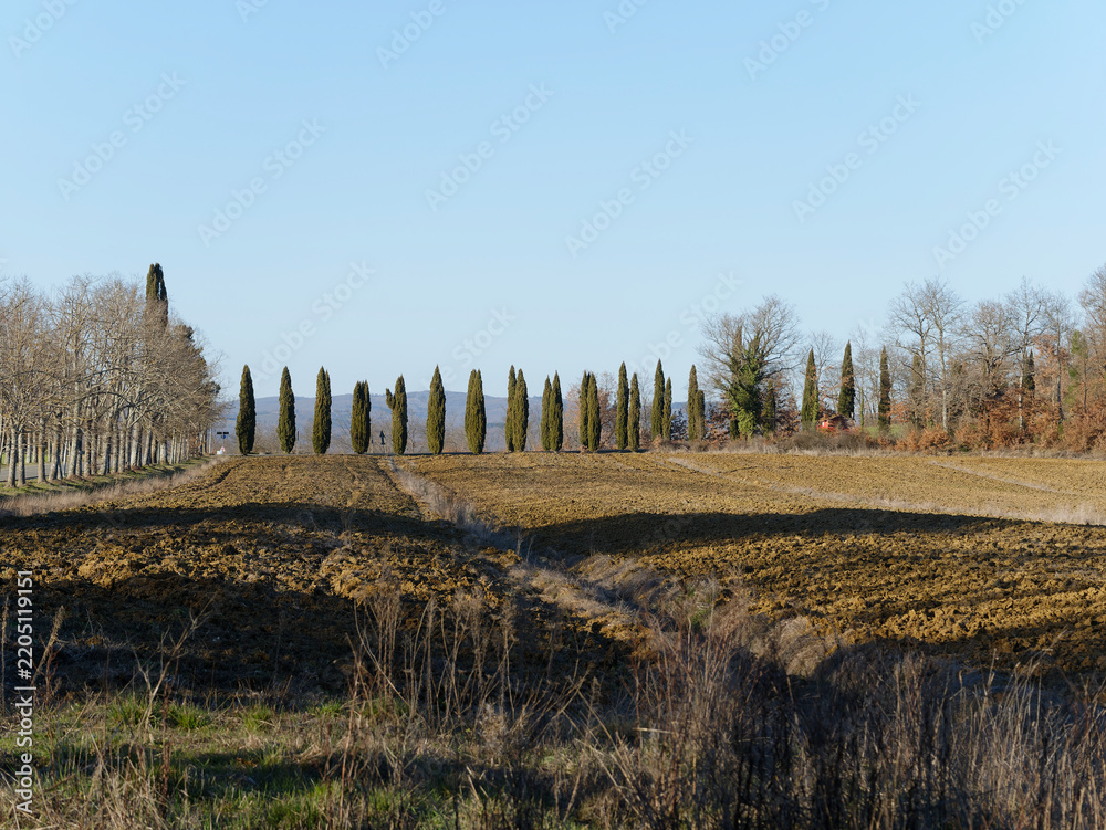 Obraz premium Beautiful view of the countryside around Siena in Tuscany