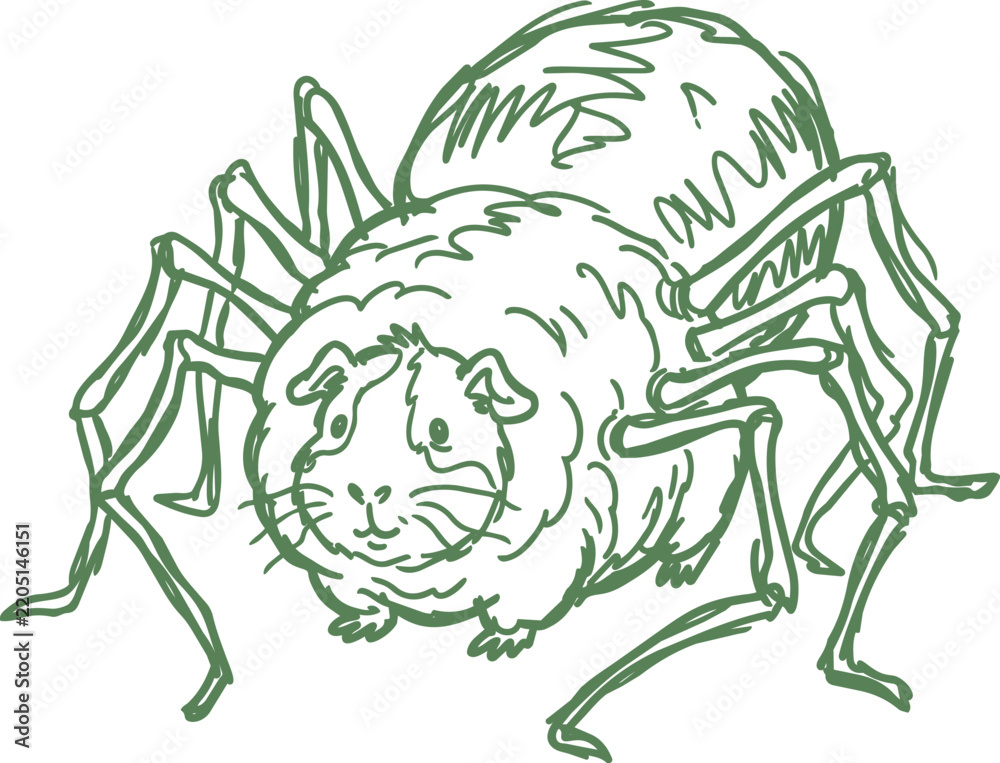 Fototapeta premium Guinea pig spider hybrid in green hand drawn line art