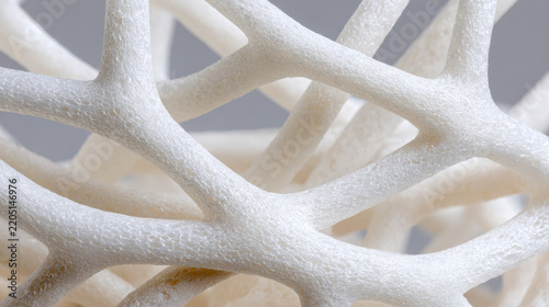 Abstract closeup of intertwined white branching natural structure with porous textured surfaces and overlapping organic forms creating a sculptural monochrome composition