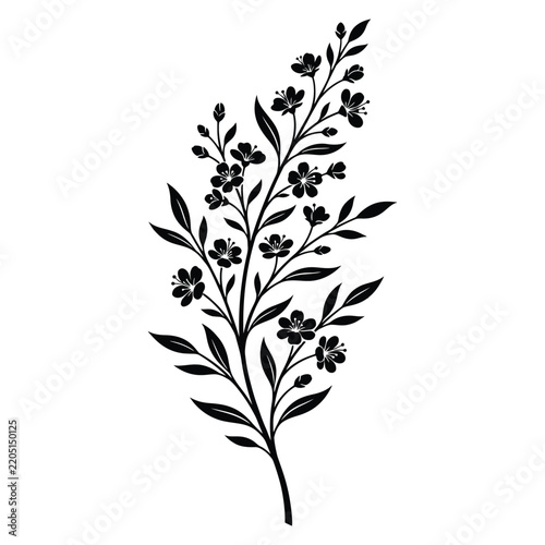 Elegant black floral silhouette of a flowering branch with blooming buds and leaves isolated on a white background for decorative design projects