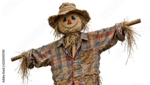 Obraz na plátně Friendly scarecrow with straw stuffing and plaid shirt, isolated on transparent