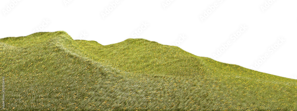 Obraz premium Grass slope mound with yellow flowery fields cutout transparent backgrounds 3d rendering png
