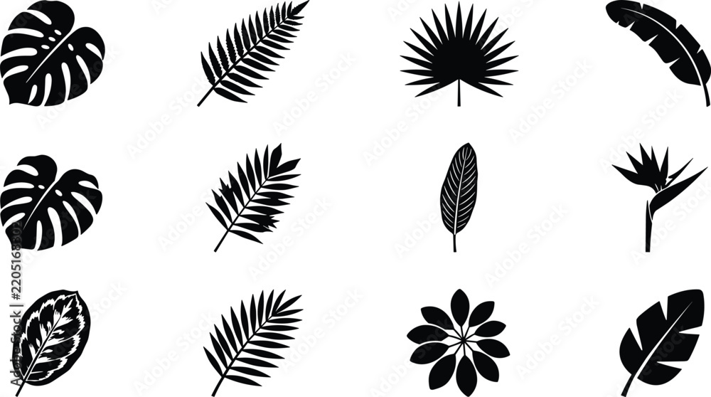 Fototapeta premium Tropical Leaf Silhouette Collection with Monstera, Palm, Fern, Banana, Philodendron and Decorative Botanical Foliage for Nature Designs