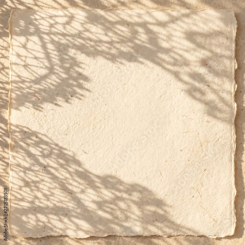 Lace Shadow Study on Warm Handmade Paper