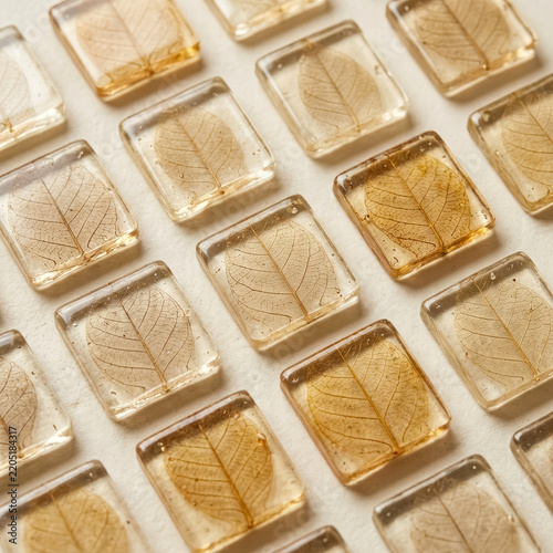 Leaf Skeletons Encased in Clear Natural Resin