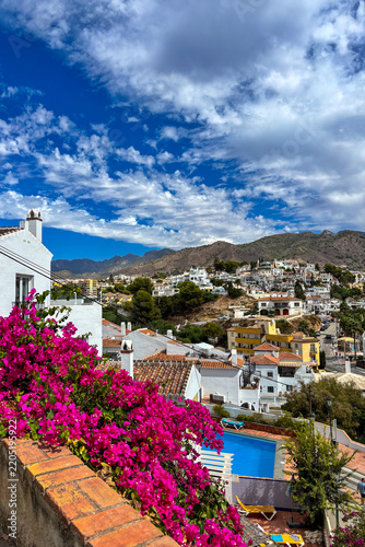 A flowering bush with vibrant red blossoms stands against a clear sky creating a simple natural composition with vivid color and delicate beauty
