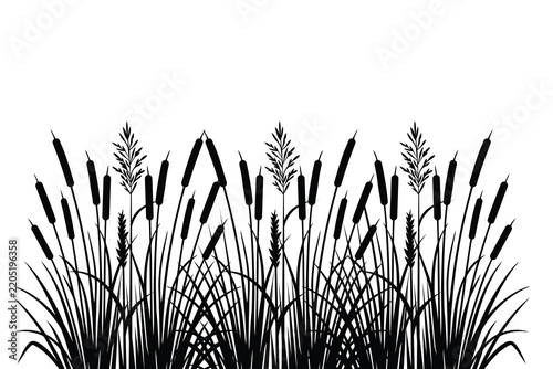 Cattail and wild grass silhouette banner, reed plants and marsh foliage horizontal border isolated on white background