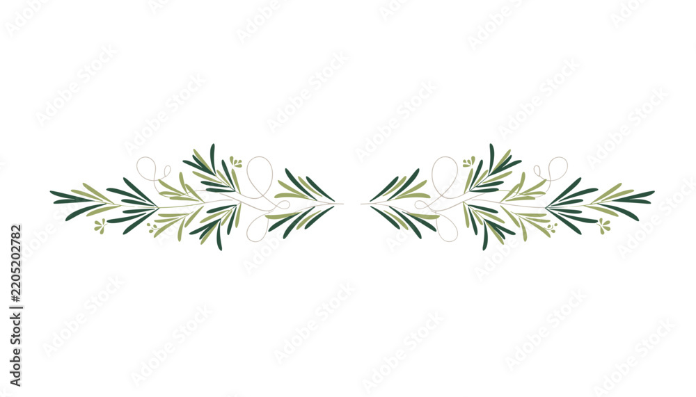 Obraz premium Symmetrical olive green botanical divider with delicate leaf sprigs and elegant curl stems on white background.