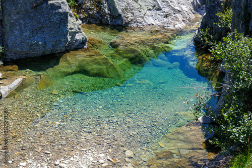 Fiume di montagna. Pozza d'acqua trasparente