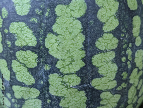 A textured green watermelon rind surface with characteristic dark jagged stripes creates a vibrant, natural organic fruit background template. 
