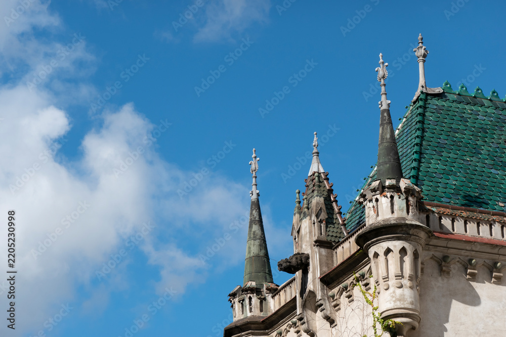 Obraz premium View of the palace's historic roof