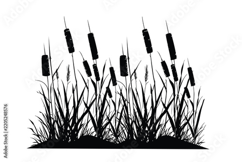Cattail Reeds and Wild Grass Silhouette