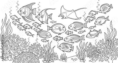 underwater coral reef with tropical fish illustration