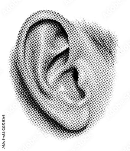 Human ear vintage sketch drawing on transparent background