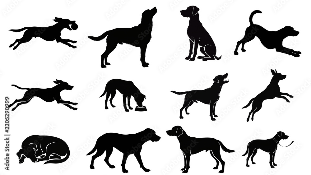 Fototapeta premium Dog Silhouette Collection – Diverse Canine Breeds in Running, Standing, Sitting and Playing Poses