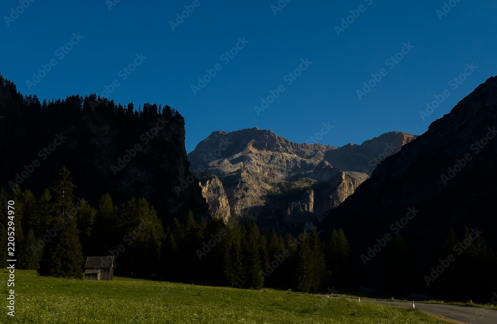 Obraz premium Idyllic mountain landscape in the Alps with blooming meadows in springtime