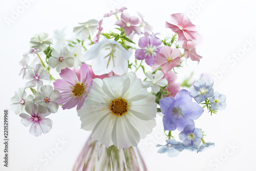 Beautiful bouquet of phlox, cosmos flower and bellflowers in a vase closeup, floral background, blur, selective focus.