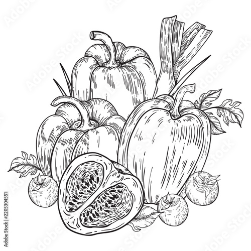 Detailed vector graphic composition of various vegetables, including sweet peppers, leeks and tomato slices. Template for a vegetable product label.