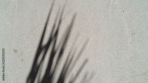 Palm leaf shadow on a textured concrete wall with copy space for summer marketing designs