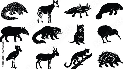 Unique exotic animal silhouettes collection featuring rare creatures for nature themes