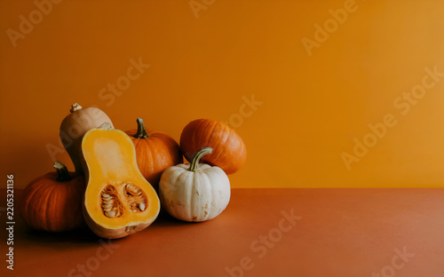 Minimalist autumn still life with whole pumpkins and halved butternut squash on warm orange background with copy space