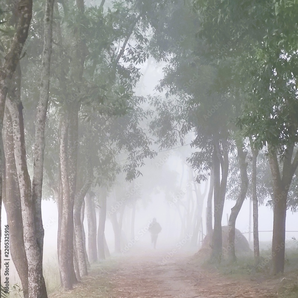 Obraz premium A lone figure runs along a foggy path lined with tall trees.