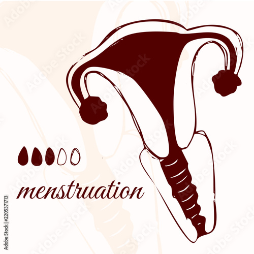 Menstruation and Female Reproductive System Medical Illustration