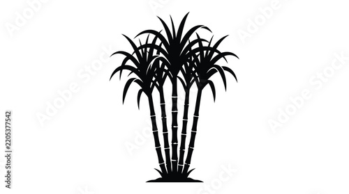 Palm trees stand as a dark silhouette against a white background