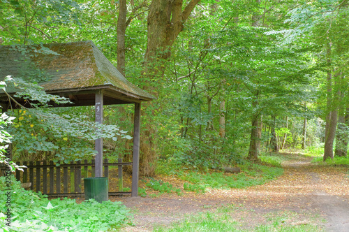 Obraz na plátne A forest road in the Cybina Valley, a forest rest stop with a distinctive roof