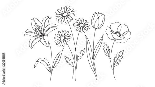 Set of Four Elegant Floral Line Art Designs with Minimalist Botanical Flower Illustrations in Vector Style.