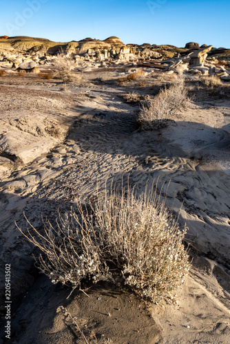 Desert Path