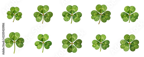 Pattern of shamrocks with water droplets isolated on black background, symbol of St Patrick's day