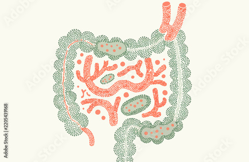 Human digestive system illustration with gut microbiome and bacteria
