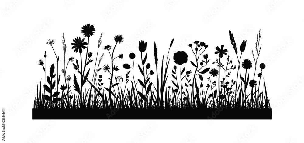 Obraz premium Wildflower silhouette depicts a dense collection of meadow plants against a white background floral grasses blossom botanical vegetation herbage foliage stem leaves petals stalks
