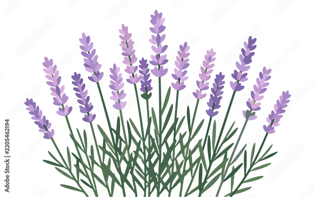 Fototapeta premium Flat design of tropical plants for nature-themed decoration and backgrounds.